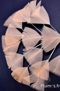 Pétales en plumes - 6-8 x 3-4 cm - saumon